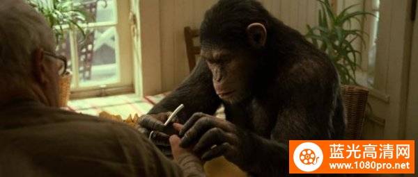猩球崛起4K Rise.of.the.Planet.of.the.Apes.2011.2160p.BluRay.HEVC.DTS-HD.MA.5.1-4K电影下载[蓝光原盘]—36 GB