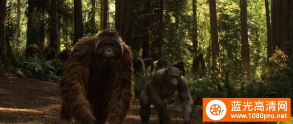 猩球崛起4K Rise.of.the.Planet.of.the.Apes.2011.2160p.BluRay.HEVC.DTS-HD.MA.5.1-4K电影下载[蓝光原盘]—36 GB