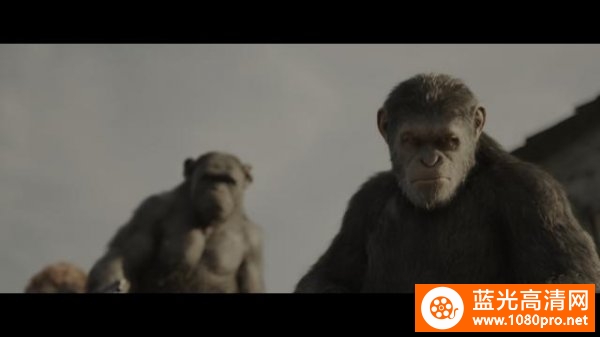 猩球崛起3：终极之战4k War.for.the.Planet.of.the.Apes.2017.2160p.BluRay.REMUX.HEVC.DTS-HD.