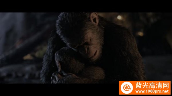 猩球崛起3：终极之战4k War.for.the.Planet.of.the.Apes.2017.2160p.BluRay.REMUX.HEVC.DTS-HD.