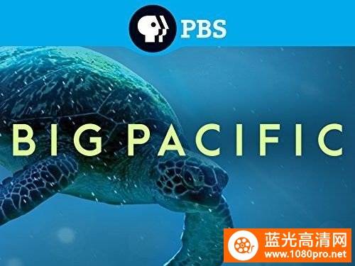 [蓝光原盘]大太平洋  4K高清 Big.Pacific.2017.S01.2160p.BluRay.HEVC.DTS-HD.MA.2.0-PRECELL 90