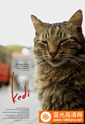 伊斯坦布尔的猫/爱猫之城 Kedi.2016.1080p.BluRay.x264-NODLABS 6.57GB