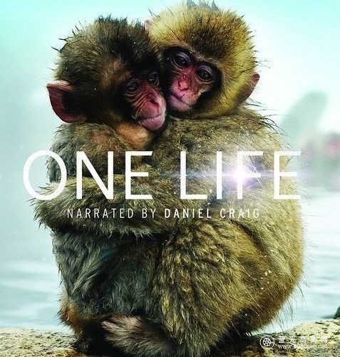 BBC 地球生灵 BBC-One Life 2011 Blu-ray Remux AVC FLAC 5.1-AYU2D 17.4GB