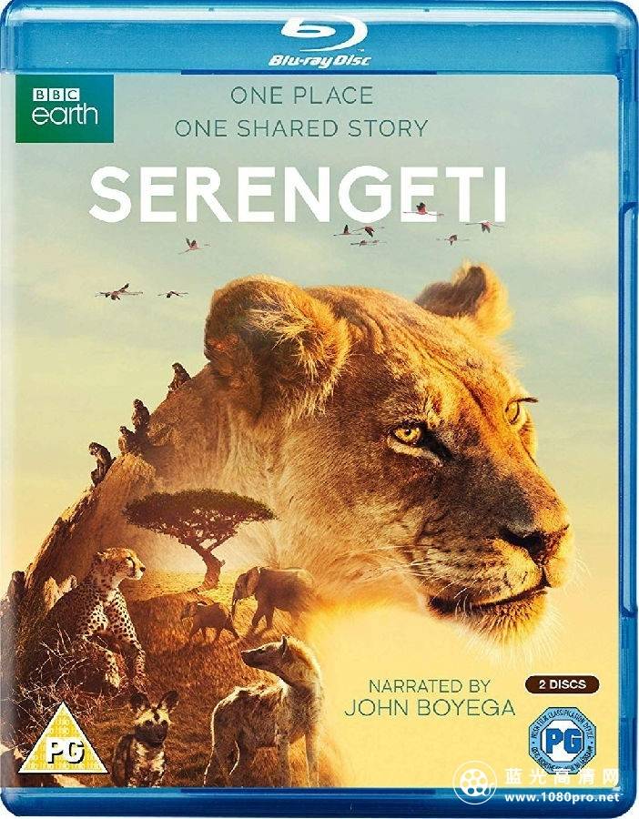 BBC：[塞伦盖蒂][全6集/次时代英语【DVB简繁双语特效】Serengeti.S01.EP06.Rebirth.2019.BluRay.1080p.HEVC