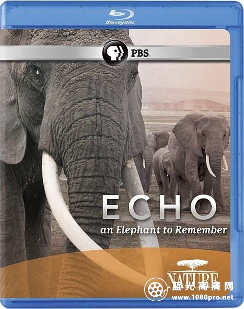 大象&quot;回声&quot;的回忆 Nature.Echo.An.Elephant.to.Remember.2010.1080p.BluRay.x264-S