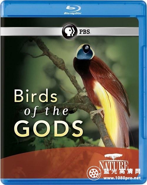 天堂鸟 Nature.Birds.of.the.Gods.2011.1080p.BluRay.x264-SADPANDA 3.28GB