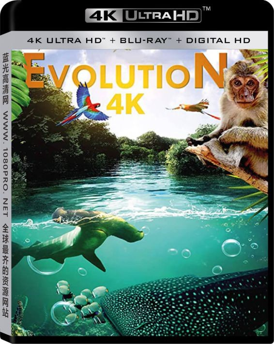 进化 4K Evolution.4K.2018.DOCU.2160p.BluRay.HEVC.DTS-HD.MA.2.0-电影纪录片[蓝光原盘]—24.56