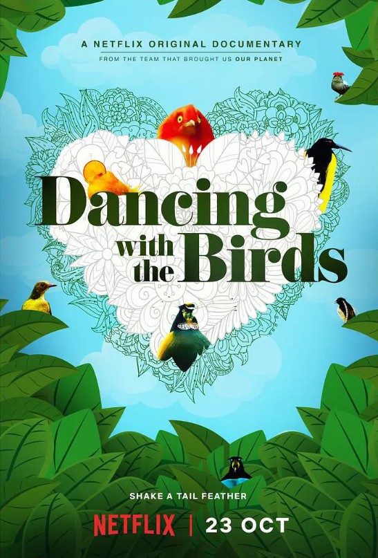 与鸟共舞4k Dancing.with.the.Birds.2019.2160p.NF.WEBRip.DDP5.1.Atmos.x265电视纪录片—11.1