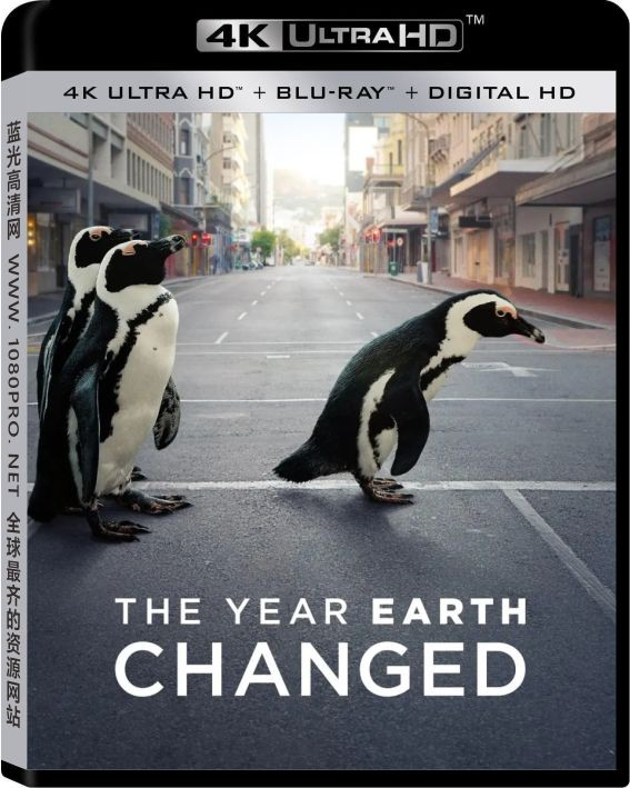 地球改变之年 4K.The.Year.Earth.Changed.2021.HDR.2160p.WEB.H265-4K纪录片—8.53 GB