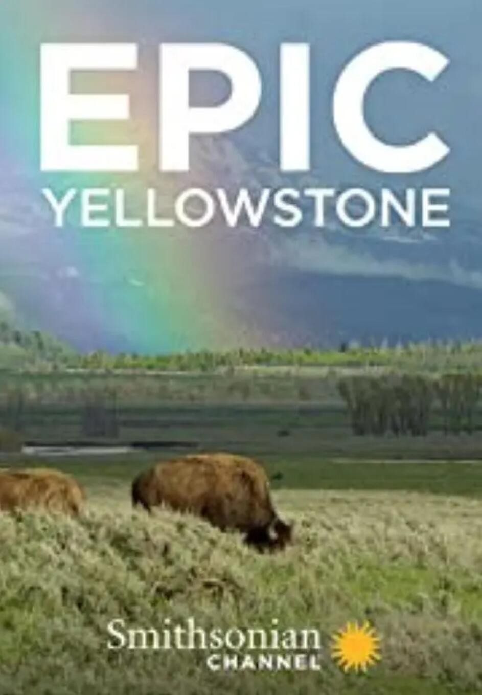 Epic.Yellowstone.S01.2160p.PMTP.WEBRip.AAC2.0.x265-纪录片—13.81 GB