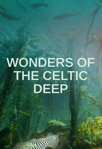 Wonders.of.the.Celtic.Deep.S01.2160p.WEB-DL.x265.10bit.HDR.HLG.AAC2.0-4k纪录片-30