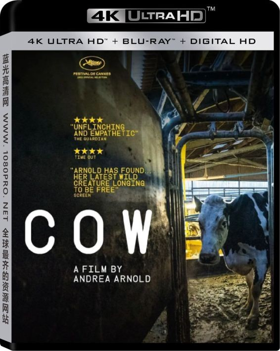 牛/奶牛4k.Cow.2021.2160p.WEB-DL.x265.10bit.SDR.DDP5.1纪录片电影-8.51 GB