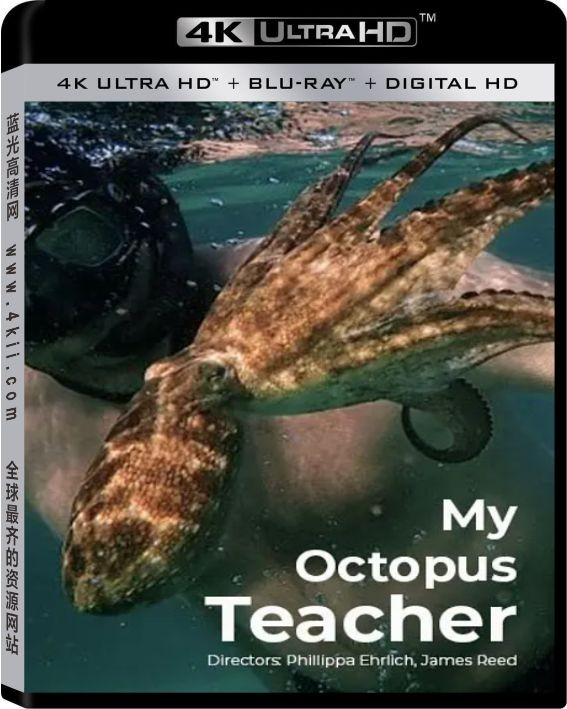 我的八爪鱼老师(港)/我的章鱼老师4k.My.Octopus.Teacher.2020.2160p.NF.WEB-DL.x265.10bit.SDR.DDP5.1-4k电影-7.50 GB