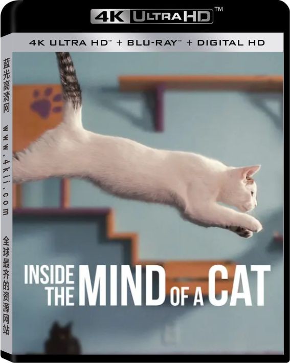 喵星人的奇思妙想4K Inside.the.Mind.of.a.Cat.2022.2160p.NF.WEB-DL.x265.10bit.HDR.DDP5.1-4K电影