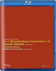 勃兰登堡协奏曲 Brandenburg.Concertos.2004.BluRay.1080i.DTS.x264-CHD 8.7GB
