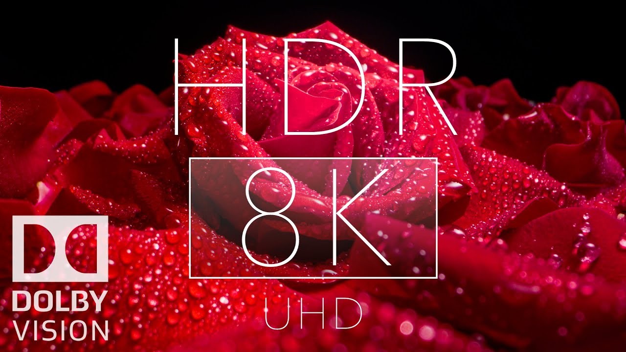 8k HDR Dolby Vision 30fps  4.15GB