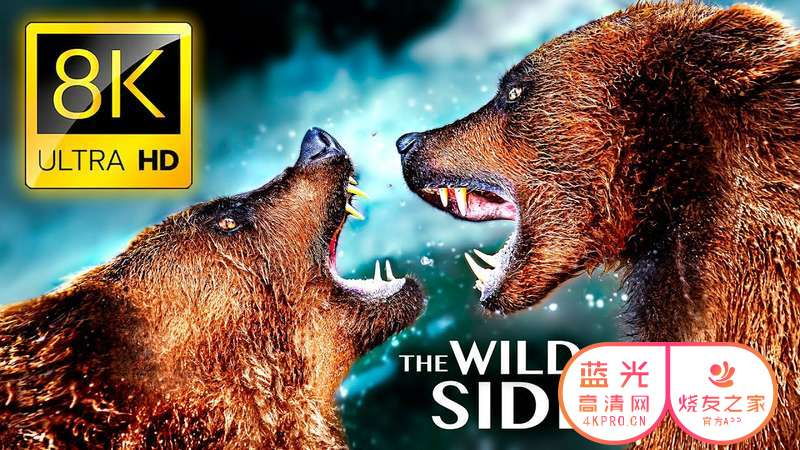 野生动物的一面8K ULTRA HD-最伟大的动物大战 THE WILD SIDE OF ANIMALS 8K ULTRA HD - The Greatest Animal Fights 6.51GB