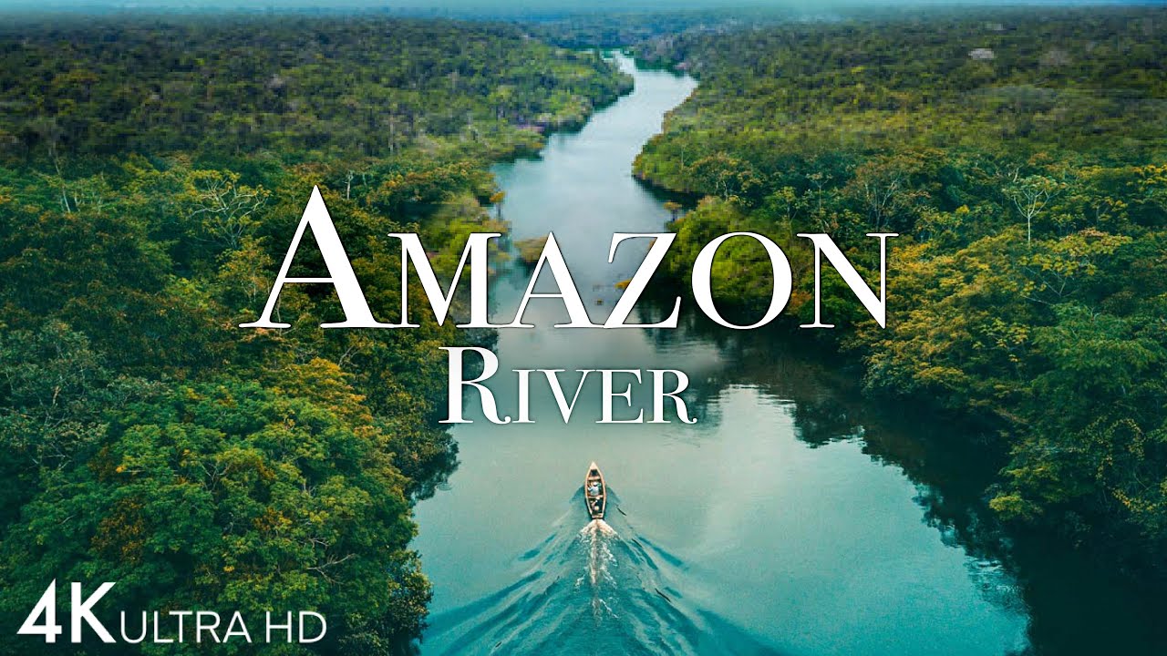 亚马逊4k—世界上最大的热带雨林第2部分—粉红海豚—4k风景放松片-3.39GB